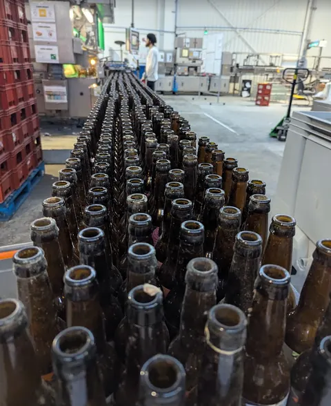 Bouteilles alignées sur une chaîne de lavage